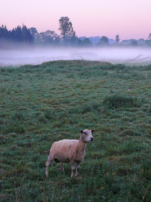 Huis Van Rooi Sint-Agatha-Rode Exteriér fotografie